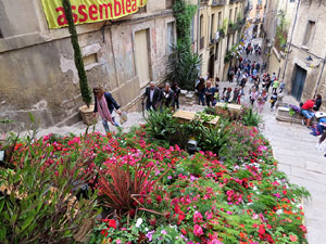 Temps de Flors 2018. Instal&middot;lacions i muntatges a la Pujada de Sant Dom&egrave;nec