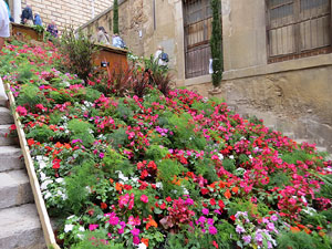 Temps de Flors 2018. Instal&middot;lacions i muntatges a la Pujada de Sant Dom&egrave;nec
