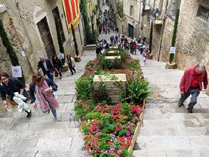 Temps de Flors 2018. Instal&middot;lacions i muntatges a la Pujada de Sant Dom&egrave;nec