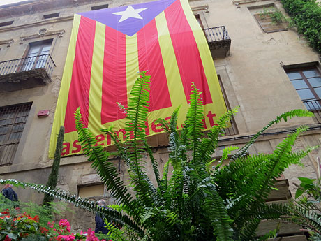 Temps de Flors 2018. Instal&middot;lacions i muntatges a la Pujada de Sant Dom&egrave;nec