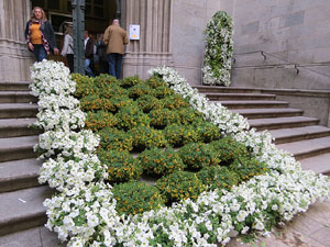 Temps de Flors 2018. Muntatges i instal&middot;lacions florals als diversos espais de l'Esgl&eacute;sia del Sagrat Cor