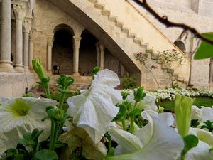 Temps de Flors 2018. Instal&middot;lacions i decoracions florals al claustre rom&agrave;nic del monestir de Sant Daniel