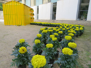 Temps de Flors 2018. Instal&middot;laci&oacute; floral a l'edifici de les &Agrave;ligues i les escales de Sant Dom&egrave;nec