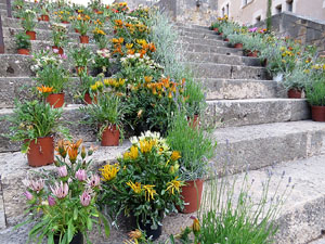Temps de Flors 2018. Instal&middot;laci&oacute; floral a l'edifici de les &Agrave;ligues i les escales de Sant Dom&egrave;nec