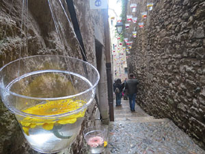 Temps de Flors 2018. Muntatges i instal&middot;lacions florals al carrer de Sant Lloren&ccedil;