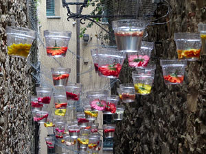 Temps de Flors 2018. Muntatges i instal&middot;lacions florals al carrer de Sant Lloren&ccedil;