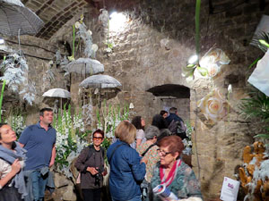 Temps de Flors 2018. Decoracions florals als baixos de l'edifici de les Sarra&iuml;nes