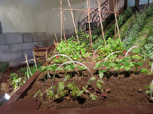 Temps de Flors 2018. Muntatges i instal&middot;lacions florals a l'Esgl&eacute;sia de Sant Mart&iacute; - Antic Seminari
