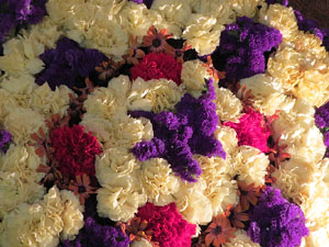 Temps de Flors 2018. Muntatges i instal&middot;lacions florals a l'Esgl&eacute;sia de Sant Mart&iacute; - Antic Seminari