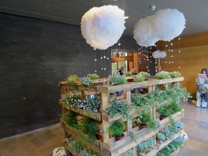 Temps de Flors 2018. Muntatges i instal&middot;lacions florals als diversos espais del Teatre Municipal