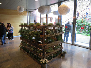 Temps de Flors 2018. Muntatges i instal&middot;lacions florals als diversos espais del Teatre Municipal
