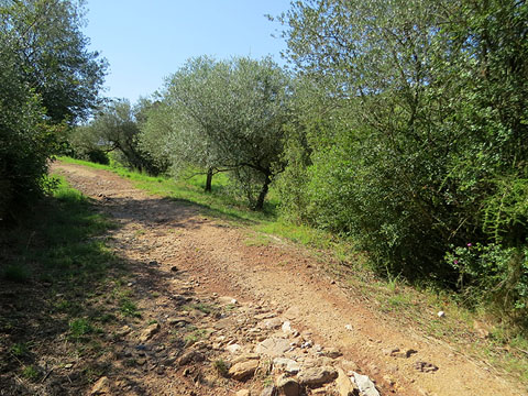 El Cam&iacute; de les Creus