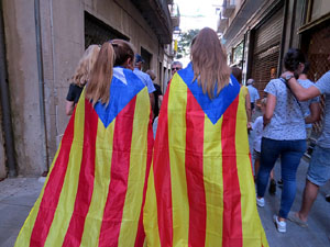 Diada Nacional 2018. Concentraci&oacute; a la pla&ccedil;a del Vi, lectura del manifest i cant de Els Segadors
