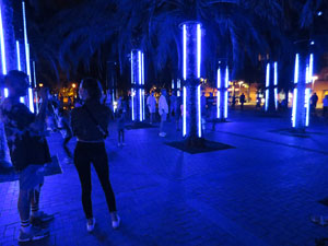Festival Temps d'Art. Espectacle Cl&uacute;ster al Parc Central de Girona