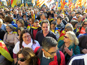 Diada de Catalunya Nord 2018 a Perpiny&agrave;