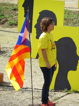 La instal&middot;laci&oacute; a l'Onyar