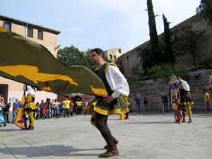 Fires de Sant Narc&iacute;s 2018. Toc de rams. Canvi dels rams de flors de les gegantes de Girona