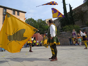 Fires de Sant Narc&iacute;s 2018. Toc de rams. Canvi dels rams de flors de les gegantes de Girona