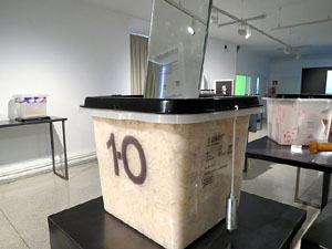 Exposici&oacute; '55 urnes per la Llibertat' a la Fundaci&oacute; Fita, a la Casa de Cultura de Girona