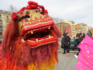 Celebraci&oacute; de l'any nou xin&egrave;s, el 4717, any del Porc, a Girona