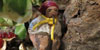 El pessebre de Can Ramon Boix