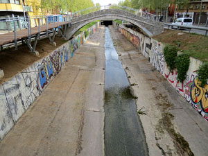 El pont del Dimoni de Santa Eug&egrave;nia de Ter. Visita de final d'obra