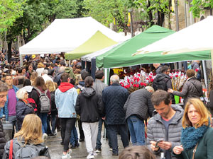 Festivitats i esdeveniments. Sant Jordi 2019 a Girona