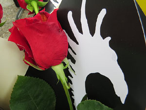 Festivitats i esdeveniments. Sant Jordi 2019 a Girona