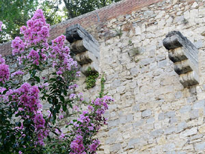 Itinerari de les muralles de Girona. El baluard de la Merc&egrave;