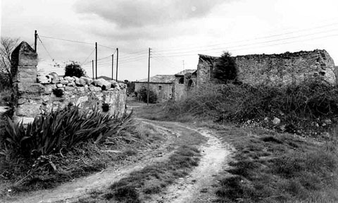Vistes de Campdor&agrave;. 1983