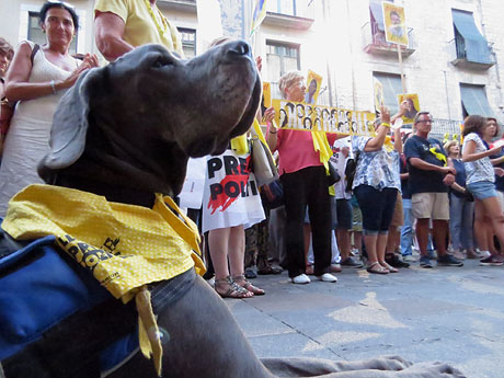 Concentraci&oacute; per la llibertat dels presos pol&iacute;tics a la pla&ccedil;a del Vi