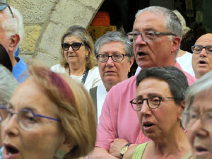 Concentraci&oacute; a la pla&ccedil;a del Vi per la independ&egrave;ncia i la llibertat dels presos pol&iacute;tics