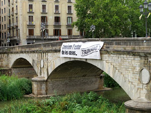 Diada Nacional 2019. Homenatge floral a Carles Rahola a la Rambla de la Llibertat