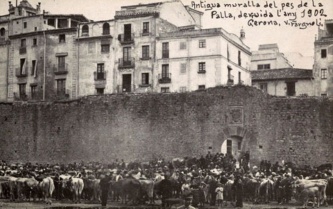Vista del mercat del bestiar a l'Areny del riu Onyar davant el portal de l'&Agrave;ngel. Sobre el portal s'observa l'escut de Girona. 1901