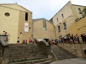 Festivals de Girona. FITAG 2019 - '8 wires or 1 reason of love'. Espectacle interpretat per la companyia 'Student Dance and Plastic Theatre Oler' de Moscou