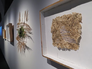 inund'ART 2019. Exposicions a la Casa de Cultura (Sala d'exposicions, planta baixa)