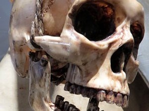 inund'ART 2019. Exposicions a la Casa de Cultura (Primer pis)