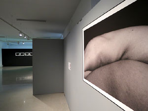 Festival inund'ART 2019. Fundaci&oacute; Fita, sala exterior