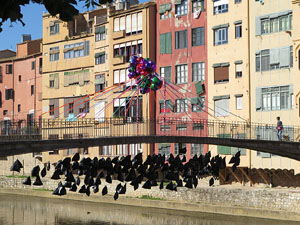 Festival inund'ART 2019. Fundaci&oacute; Fita, sala exterior