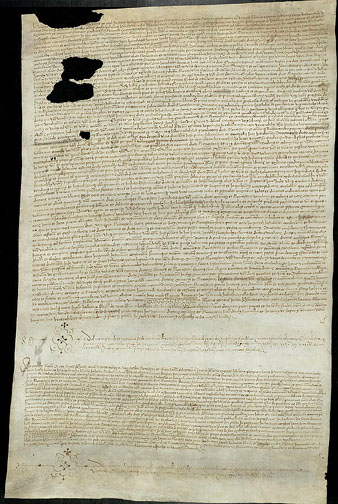 Venda de censal atorgada per Joan la Real, mestre en teologia, prior del convent de Sant Dom&egrave;nec de Girona, Joan Aixerrat, Pere Antoni de Llaners, Mart&iacute; Casanova, Jaume Coma, Jaume Balcarca, Blai de Roca, Joan Balufer, Miquel Celina, Joan Alegria, Garcia d�Argien, Pere Pag&egrave;s i Baudili Escuder, frares de l�esmentat convent, reunits a la capella de Sant Miquel del Claustre. 2 de maig de 1511