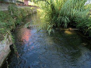 Els barris de Girona. El barri de Santa Eug&egrave;nia de Ter