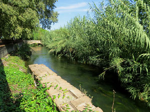 Els barris de Girona. El barri de Santa Eug&egrave;nia de Ter