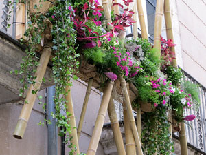 Temps de Flors 2019. Muntatges i instal&middot;lacions florals a la Fa&ccedil;ana i entrada de l'Ajuntament