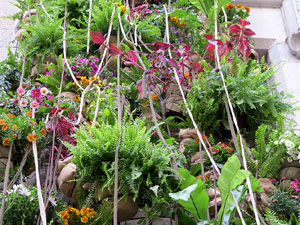 Temps de Flors 2019. Muntatges i instal&middot;lacions florals a la Fa&ccedil;ana i entrada de l'Ajuntament