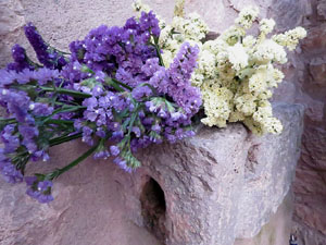 Temps de Flors 2019. Instal&middot;lacions i muntatges florals al pati de la Casa Boadas Formiga