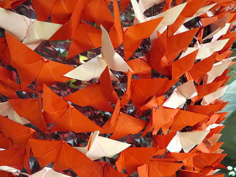 Temps de Flors 2019. Muntatges i instal&middot;lacions florals a la Cambra de la Propietat Urbana