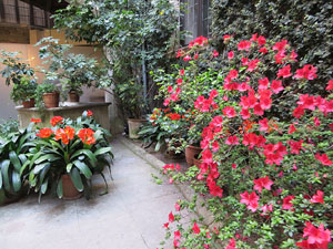Temps de Flors 2019. Instal&middot;laci&oacute; floral al Palau de Caramany