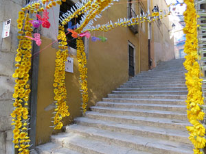 Temps de Flors 2019. Instal&middot;lacions florals als espais del carrer de la For&ccedil;a i carrer del doctor Miquel Oliva 