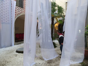 Temps de Flors 2019. Instal&middot;laci&oacute; floral a la Casa Pastors, a la pla&ccedil;a de la Catedral