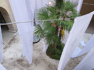 Temps de Flors 2019. Instal&middot;laci&oacute; floral a la Casa Pastors, a la pla&ccedil;a de la Catedral